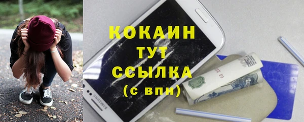 стаф Алексеевка